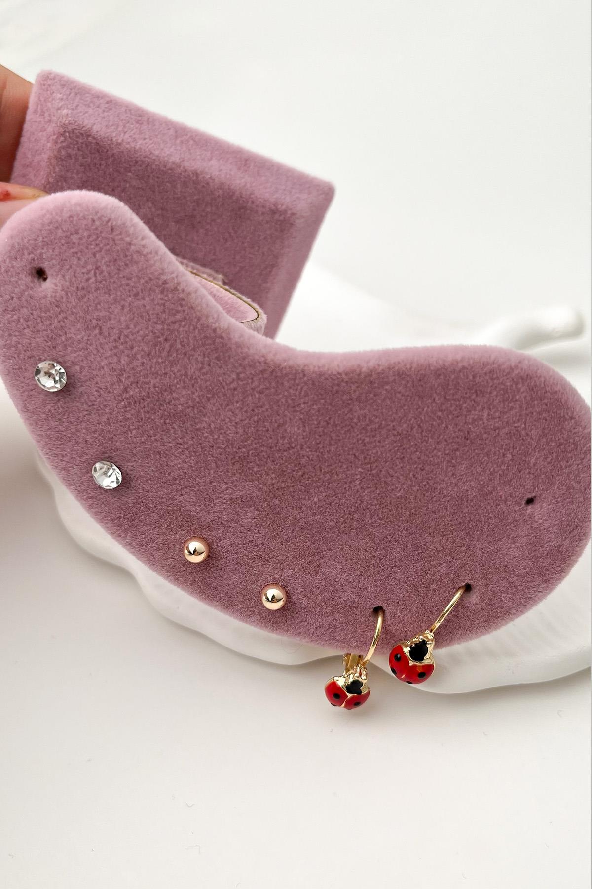 Ladybug Çoklu Küpe