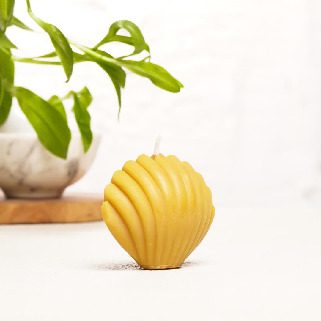 İstiridye Temalı Balmumu Mum