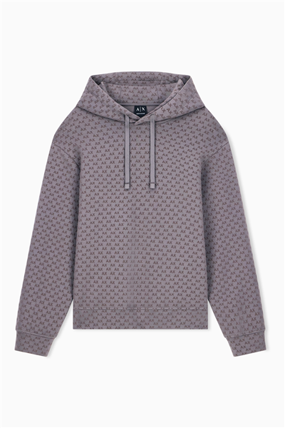 Armani Exchange Erkek Kapüşonlu Sweatshirt