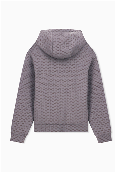 Armani Exchange Erkek Kapüşonlu Sweatshirt