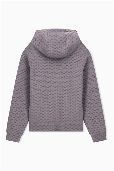 Armani Exchange Erkek Kapüşonlu Sweatshirt
