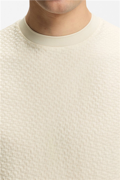 BOSS H Thompson 228 Erkek Bisiklet Yaka T-Shirt