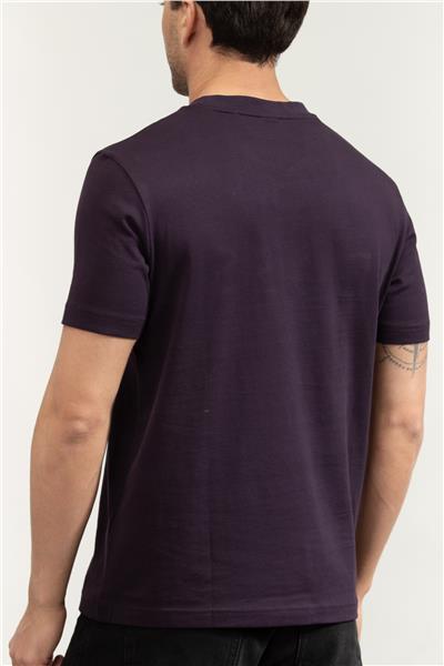 Boss Tee Iconic Zone Erkek Bisiklet Yaka T-Shirt