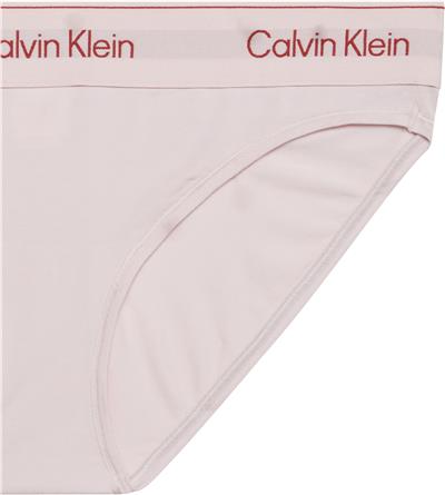 Calvin Klein Bikini Kadın Külot