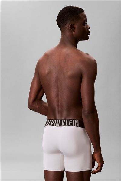 Calvin Klein Boxer Brief 3Pk Erkek 3lü Boxer Yeşil