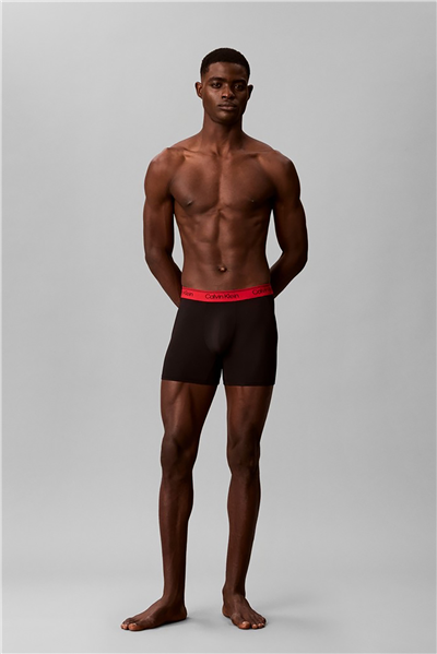 Calvin Klein Boxer Brief 3Pk Erkek 3lü Boxer