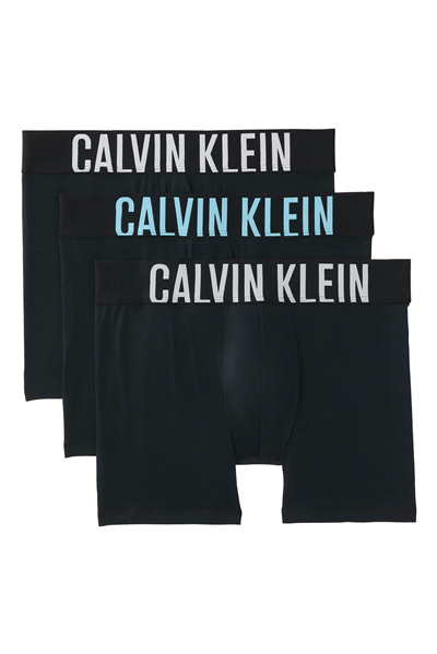 Calvin Klein Boxer Brief 3Pk Erkek 3lü Boxer