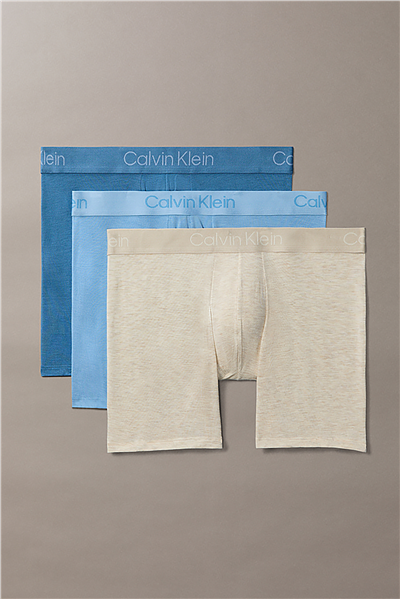 Calvin Klein Boxer Brief 3Pk Erkek 3lü Boxer