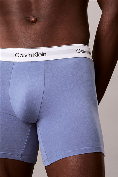 Calvin Klein Boxer Brief 3Pk Erkek 3lü Boxer