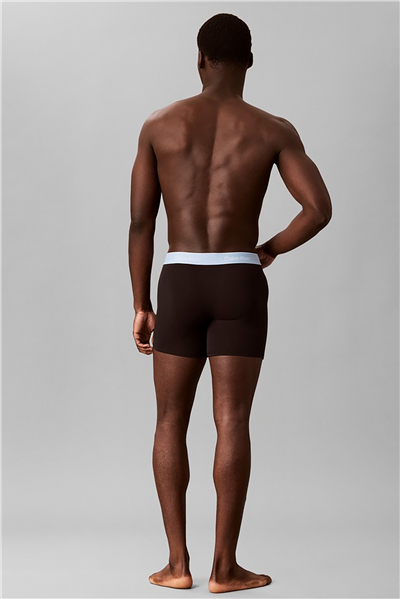 Calvin Klein Boxer Brief 3Pk Erkek 3lü Boxer
