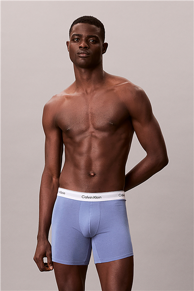 Calvin Klein Boxer Brief 3Pk Erkek 3lü Boxer