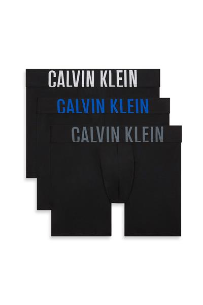 Calvin Klein Boxer Brief 3Pk Erkek 3lü Boxer