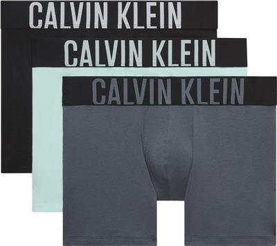Calvin Klein Boxer Brief 3Pk Erkek 3lü Boxer