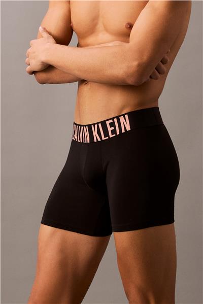Calvin Klein Boxer Brief 3Pk Erkek 3lü Boxer