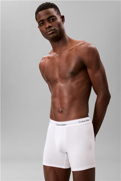 Calvin Klein Boxer Brief 3Pk Erkek 3lü Boxer