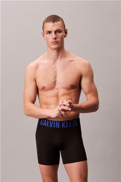 Calvin Klein Boxer Brief 3Pk Erkek 3lü Boxer