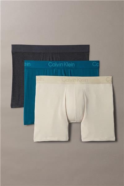 Calvin Klein Boxer Brief 3Pk Erkek 3lü Boxer
