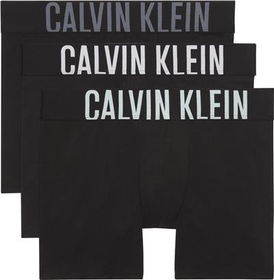 Calvin Klein Boxer Brief 3Pk Erkek 3lü Boxer