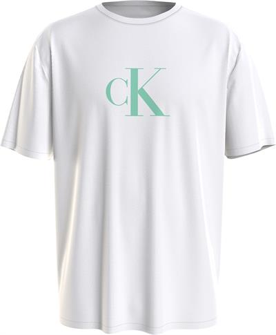 Calvin Klein Crew Neck Erkek Bisiklet Yaka T-Shirt