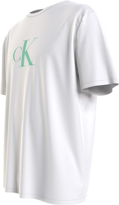 Calvin Klein Crew Neck Erkek Bisiklet Yaka T-Shirt