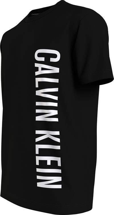 Calvin Klein Crew Neck Erkek Bisiklet Yaka T-Shirt