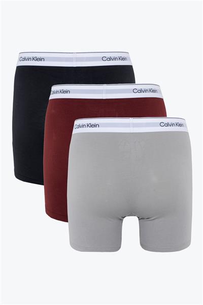 Calvin Klein Erkek 3lü Boxer
