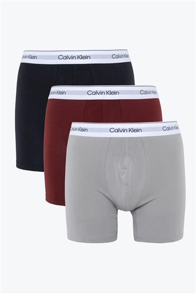 Calvin Klein Erkek 3lü Boxer