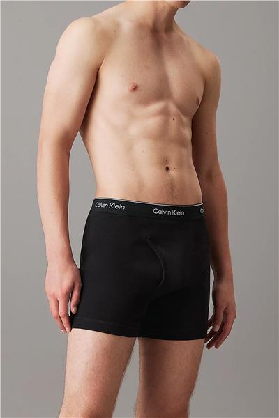 Calvin Klein Erkek 3lü Boxer
