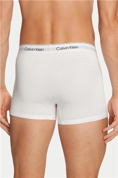 Calvin Klein Erkek 3lü Boxer