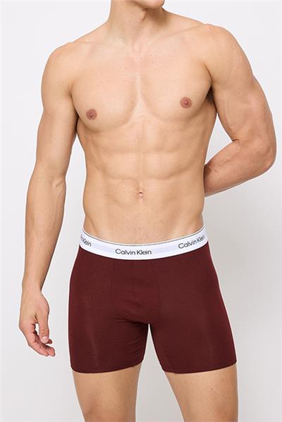 Calvin Klein Erkek 3lü Boxer