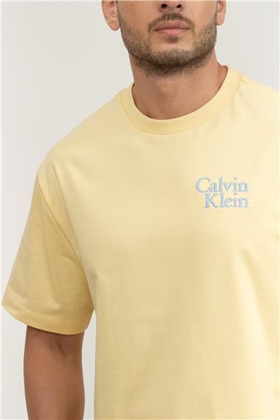 Calvin Klein Erkek Bisiklet Yaka T-Shirt
