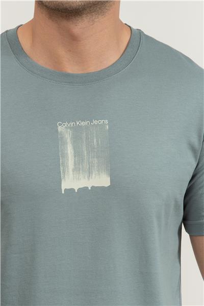Calvin Klein Erkek Bisiklet Yaka T-Shirt