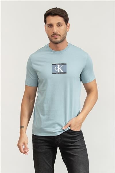 Calvin Klein Erkek Bisiklet Yaka T-Shirt