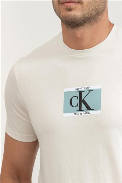 Calvin Klein Erkek Bisiklet Yaka T-Shirt