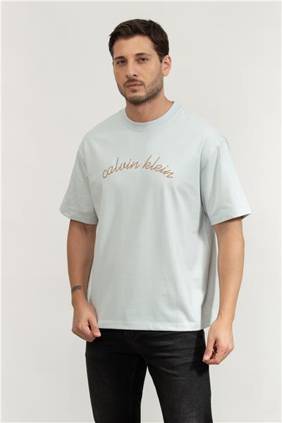 Calvin Klein Erkek Bisiklet Yaka T-Shirt