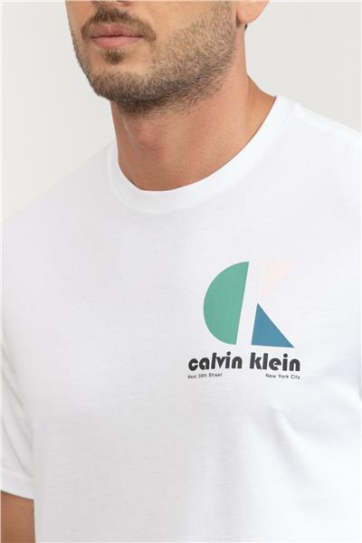Calvin Klein Erkek Bisiklet Yaka T-Shirt