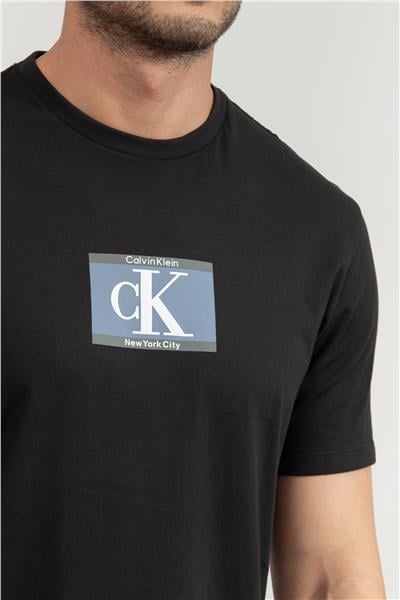 Calvin Klein Erkek Bisiklet Yaka T-Shirt
