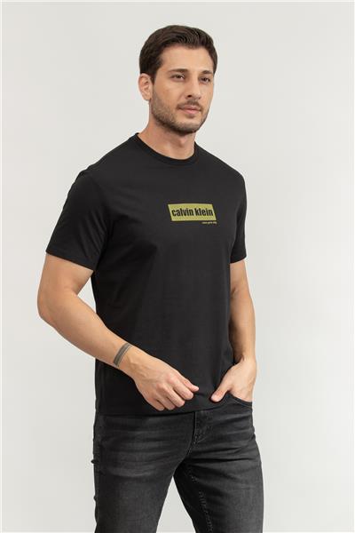 Calvin Klein Erkek Bisiklet Yaka T-Shirt