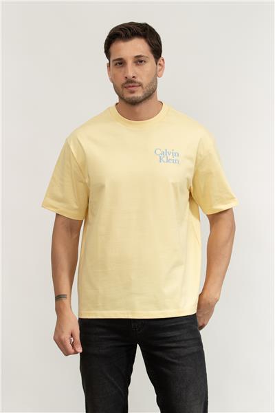 Calvin Klein Erkek Bisiklet Yaka T-Shirt