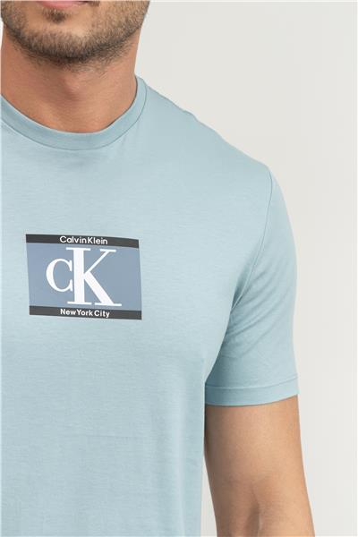 Calvin Klein Erkek Bisiklet Yaka T-Shirt