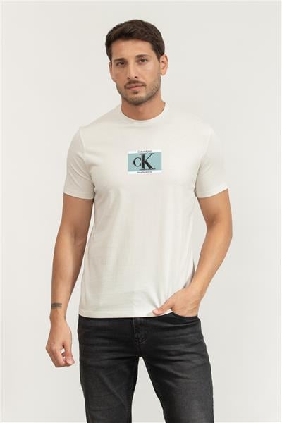 Calvin Klein Erkek Bisiklet Yaka T-Shirt