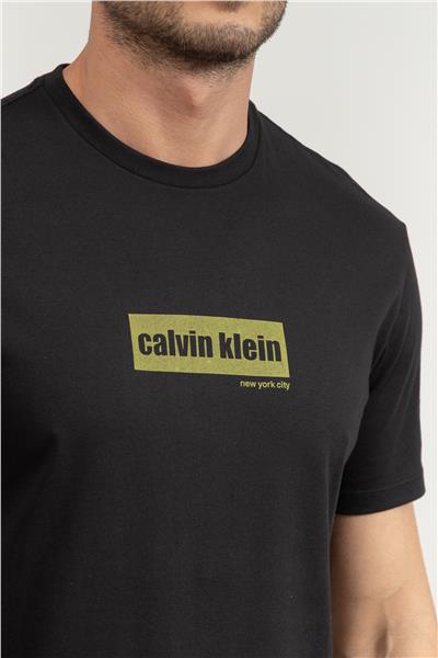 Calvin Klein Erkek Bisiklet Yaka T-Shirt