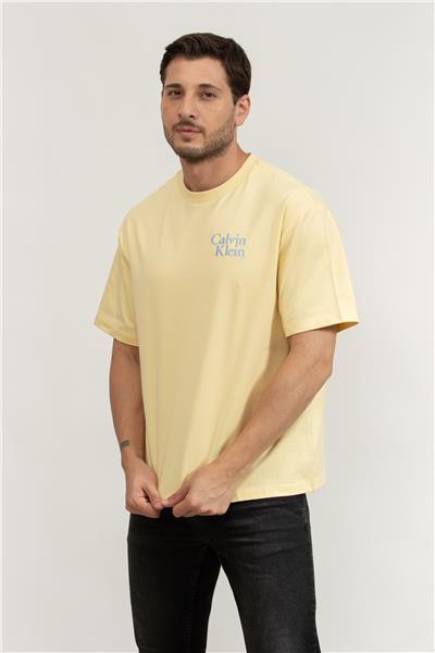 Calvin Klein Erkek Bisiklet Yaka T-Shirt