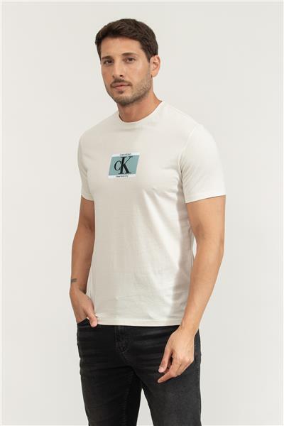 Calvin Klein Erkek Bisiklet Yaka T-Shirt