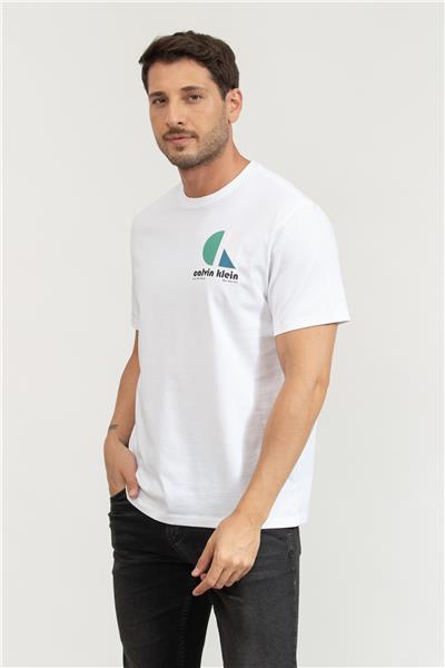 Calvin Klein Erkek Bisiklet Yaka T-Shirt