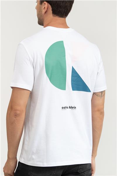 Calvin Klein Erkek Bisiklet Yaka T-Shirt