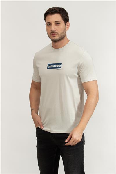 Calvin Klein Erkek Bisiklet Yaka T-Shirt