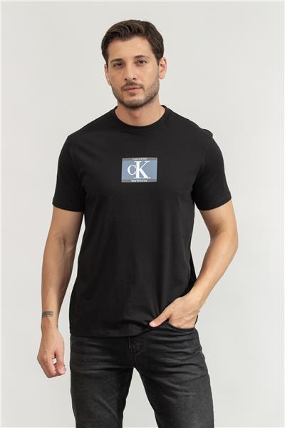 Calvin Klein Erkek Bisiklet Yaka T-Shirt