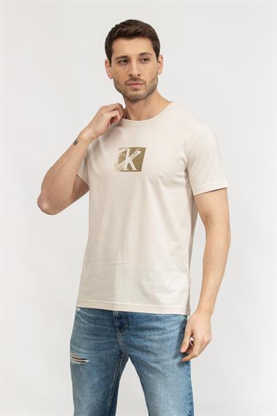 Calvin Klein Erkek Bisiklet Yaka T-Shirt Gri