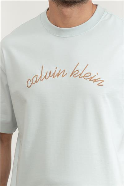 Calvin Klein Erkek Bisiklet Yaka T-Shirt